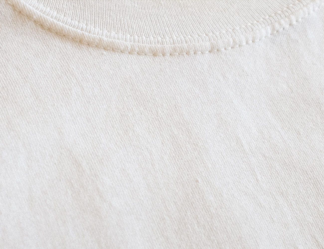 Uniqlo-vs-Hanes-Cheap-T-gear-patrol-Beefy-2