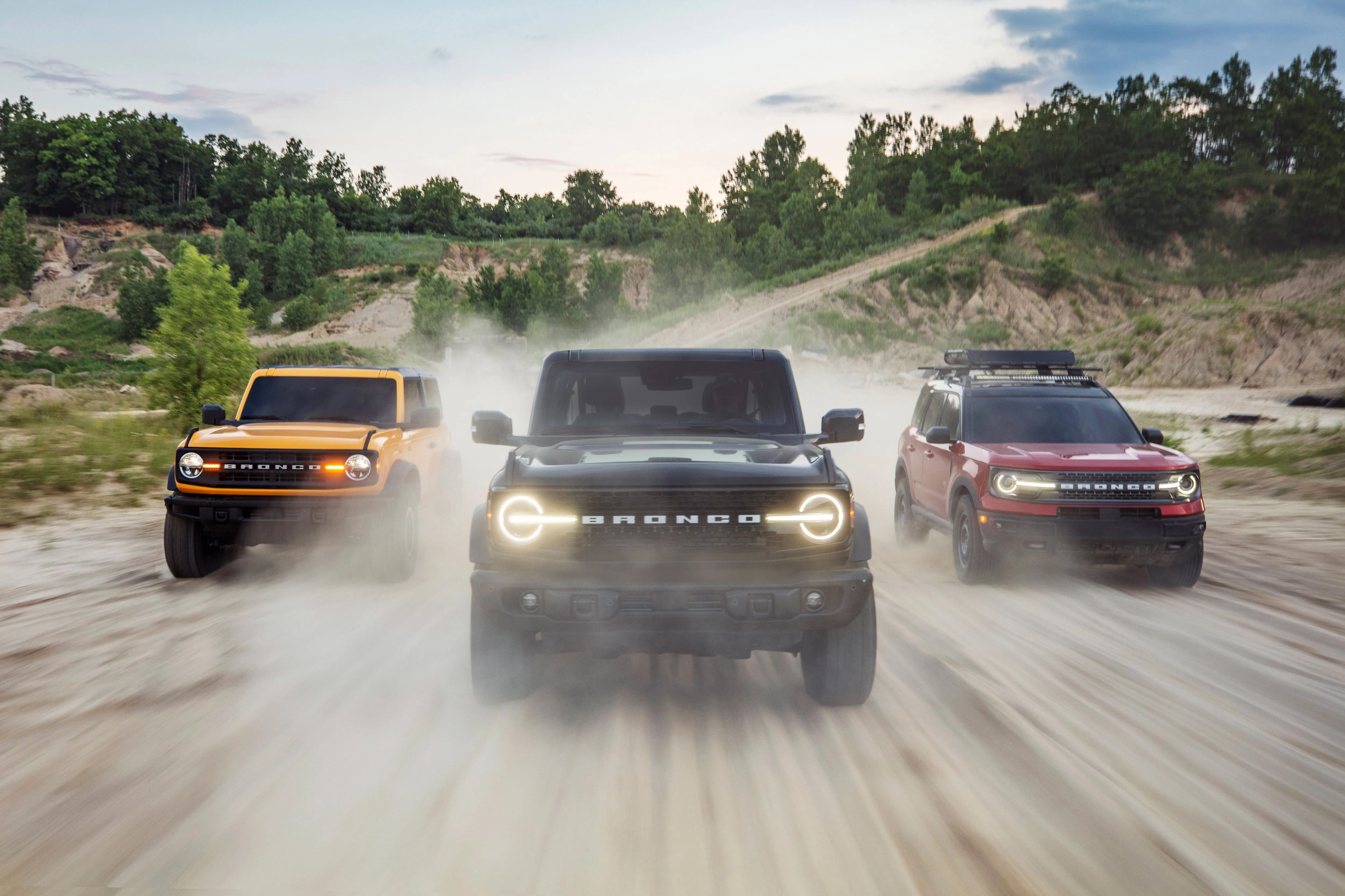 ford bronco family