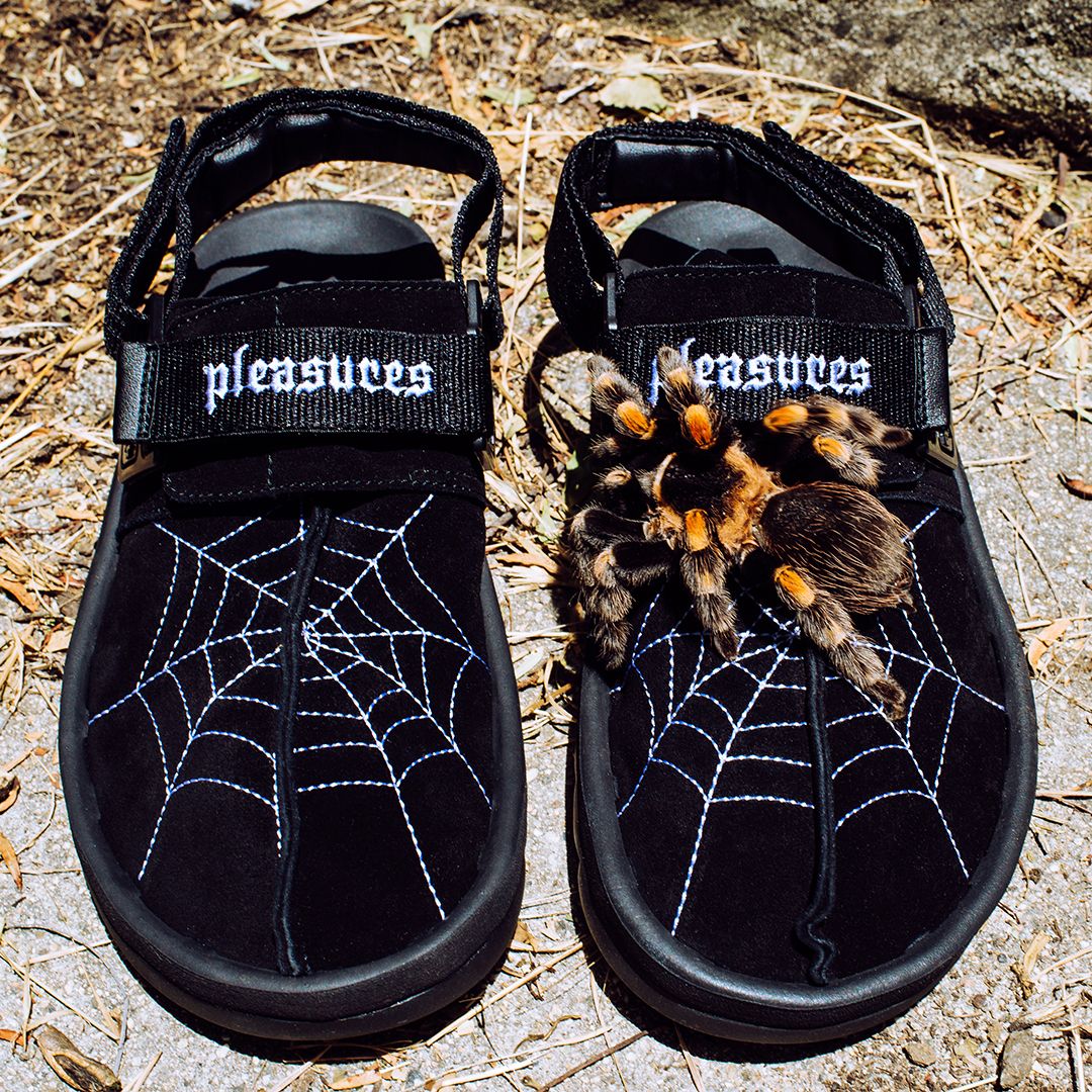 spider on sandals