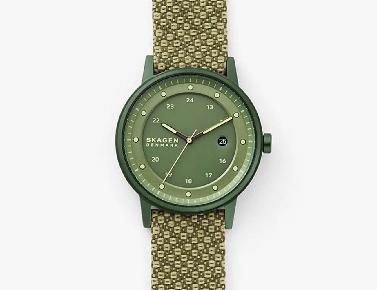 skagen watch