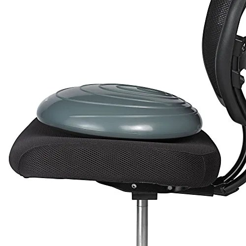 Gaiam wobbly seat cushion