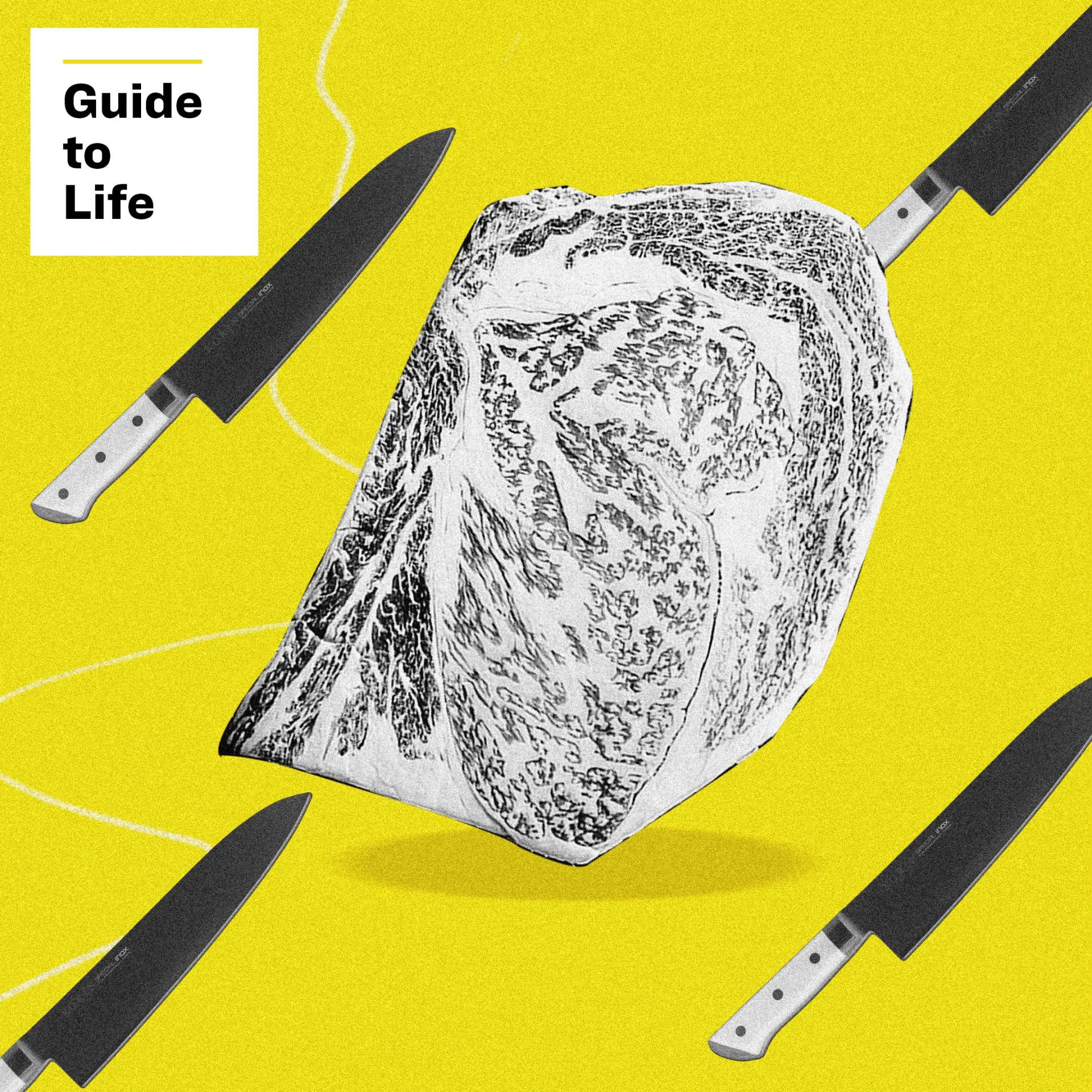 guide to life wagyu