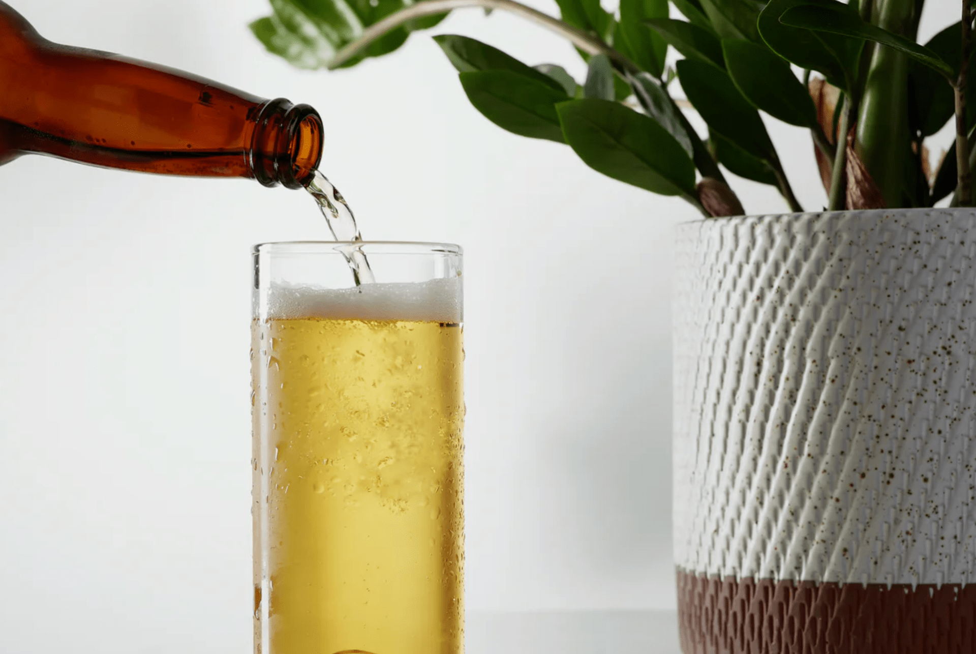 a beer bottle being poured into a beer glass on a table with a plant