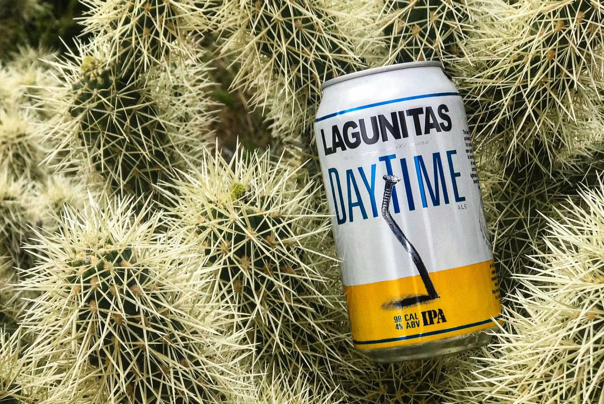 lagunitas daytime