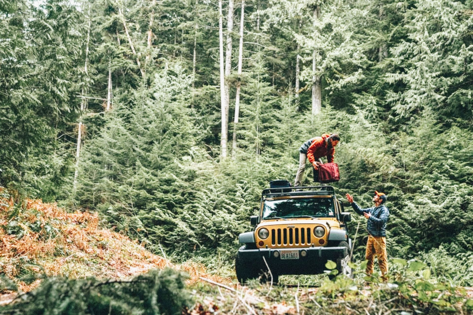 backcountry sale