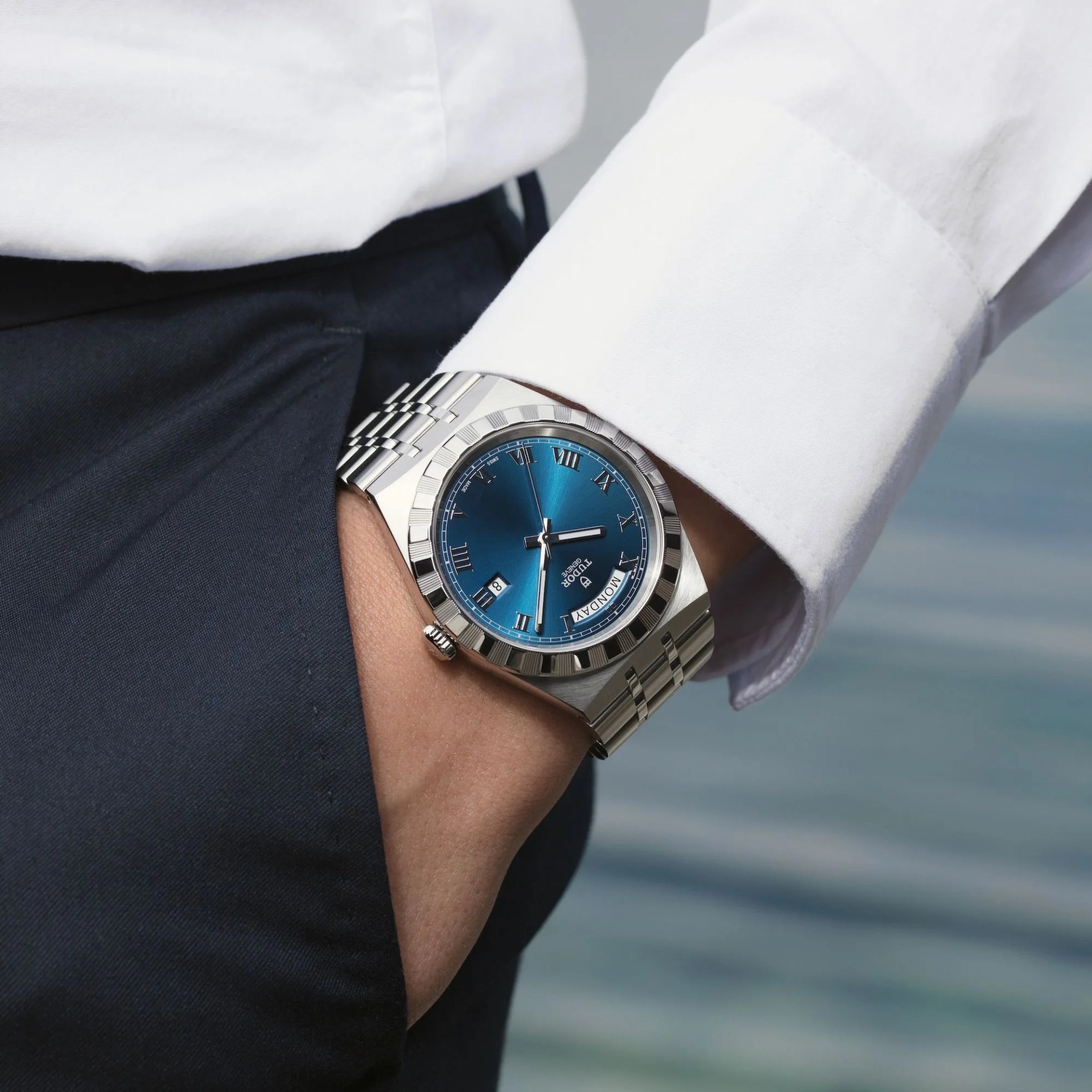 tudor royal collection lead