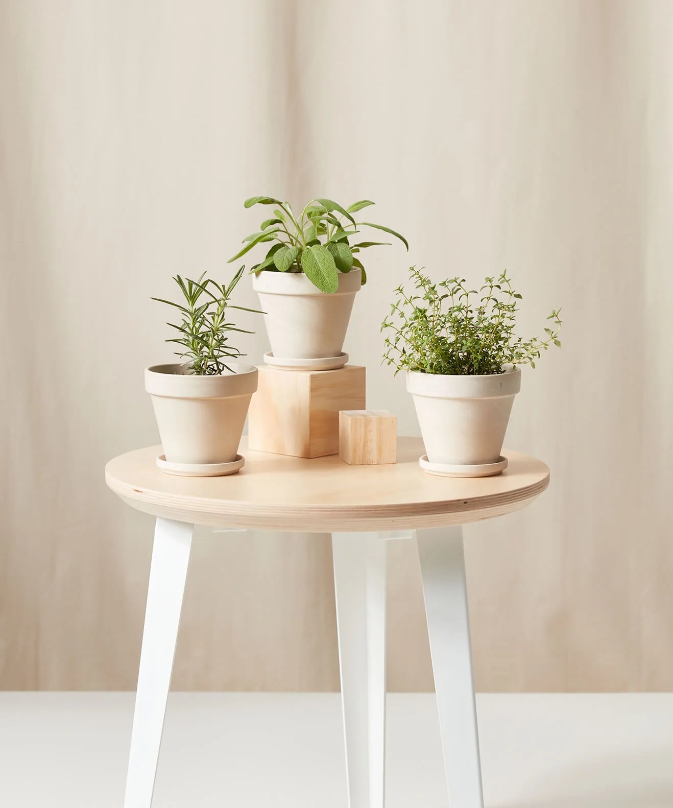 trio of herbs