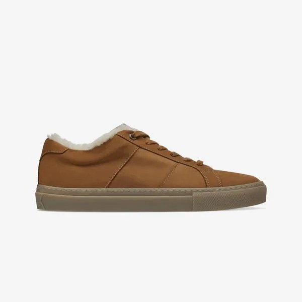 A brown leather sneaker with shearling inside