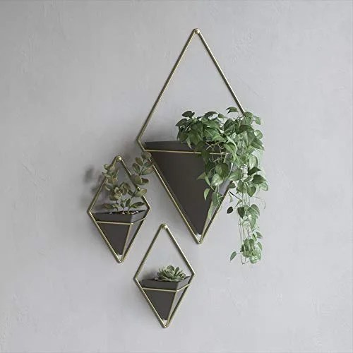 trio of hanging planters