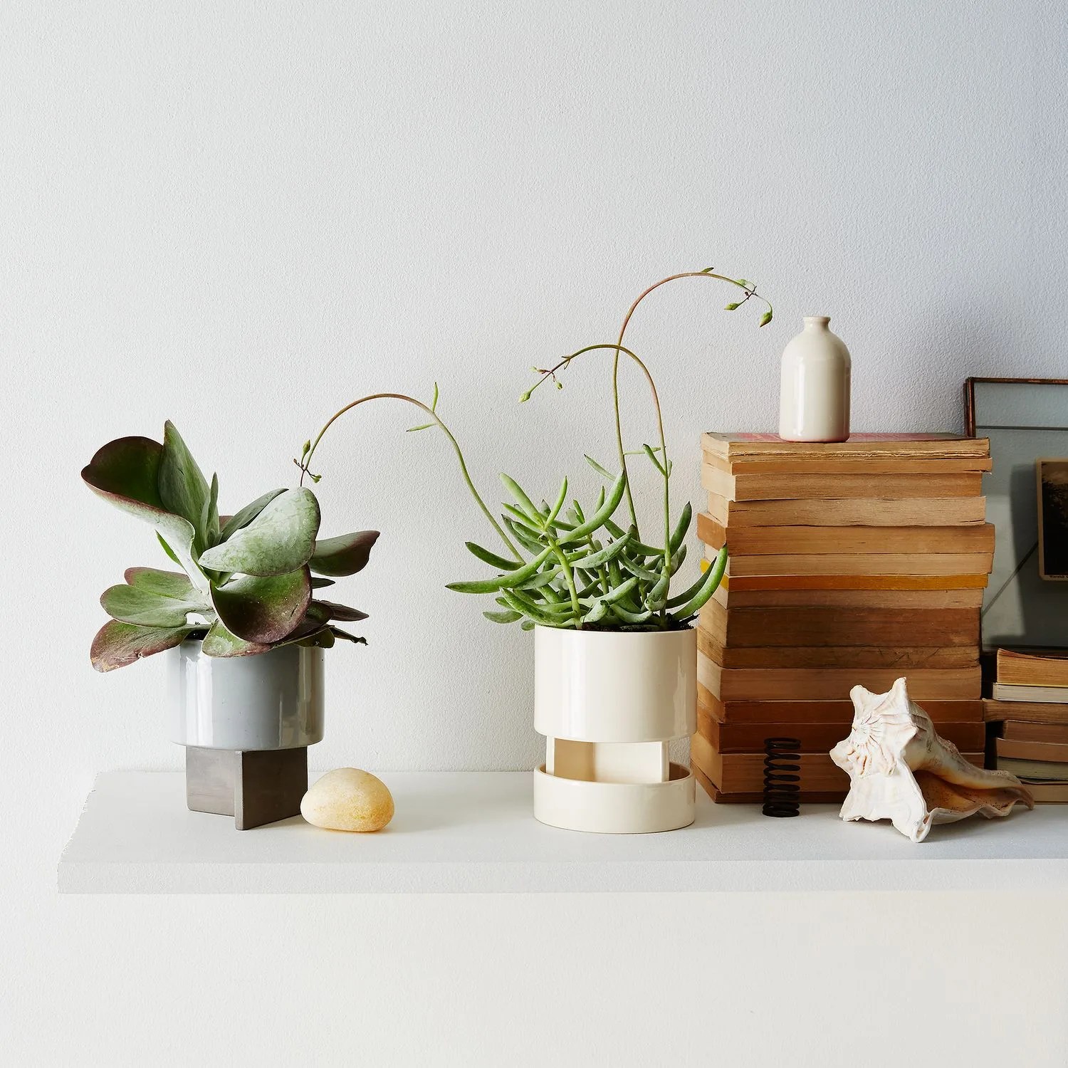 two planters