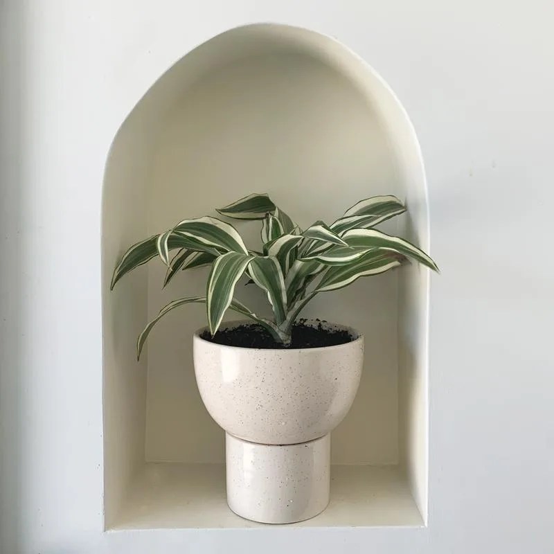 planter