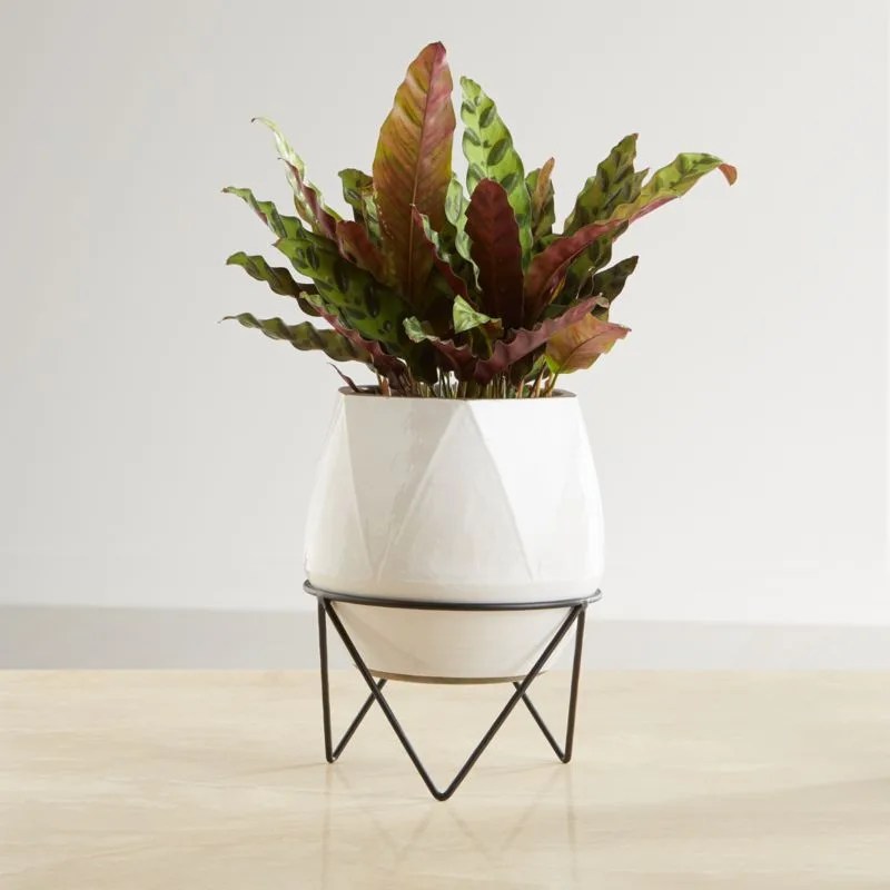 planter