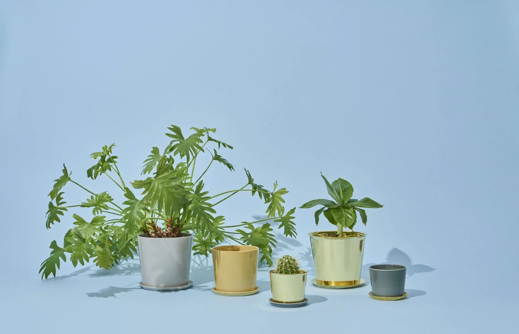 hay planters