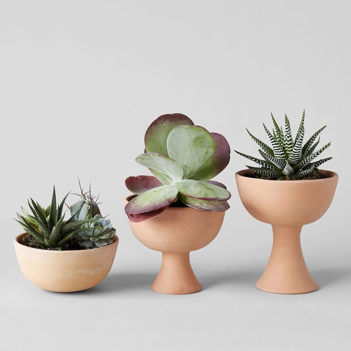 trio of planters