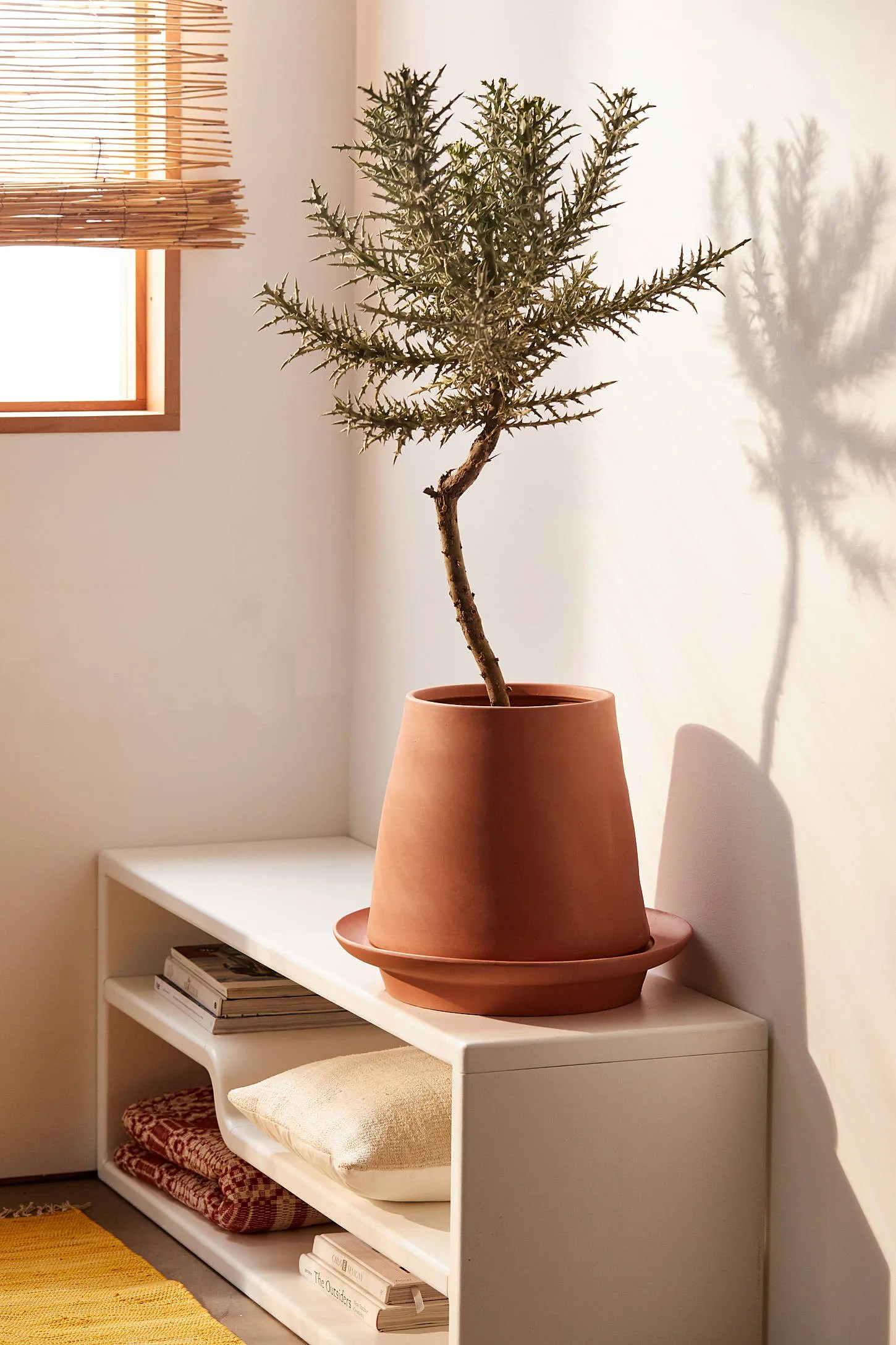 planter