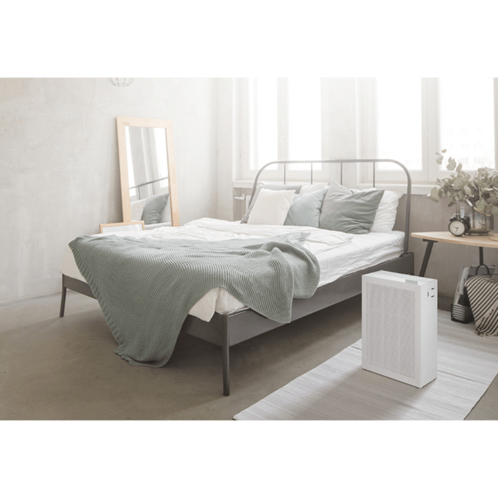 bed and air purifier