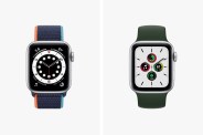 apple watch 6 vs se