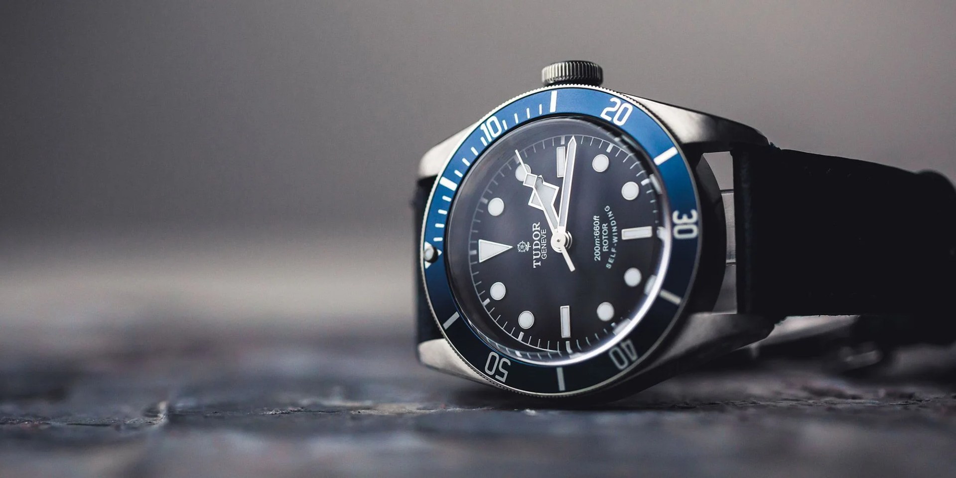 crown  caliber tudor black bay