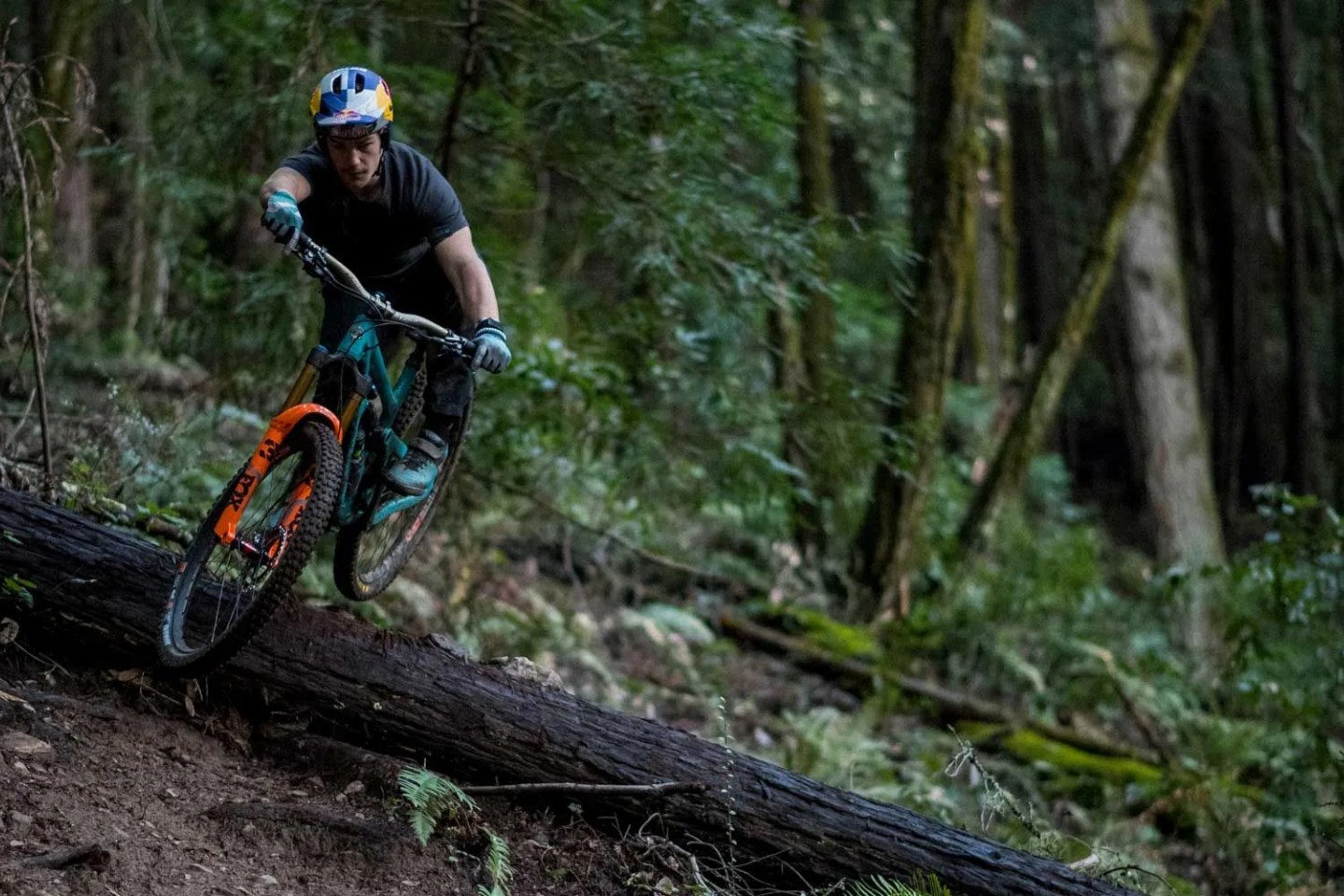 fox factory transfer dropper post