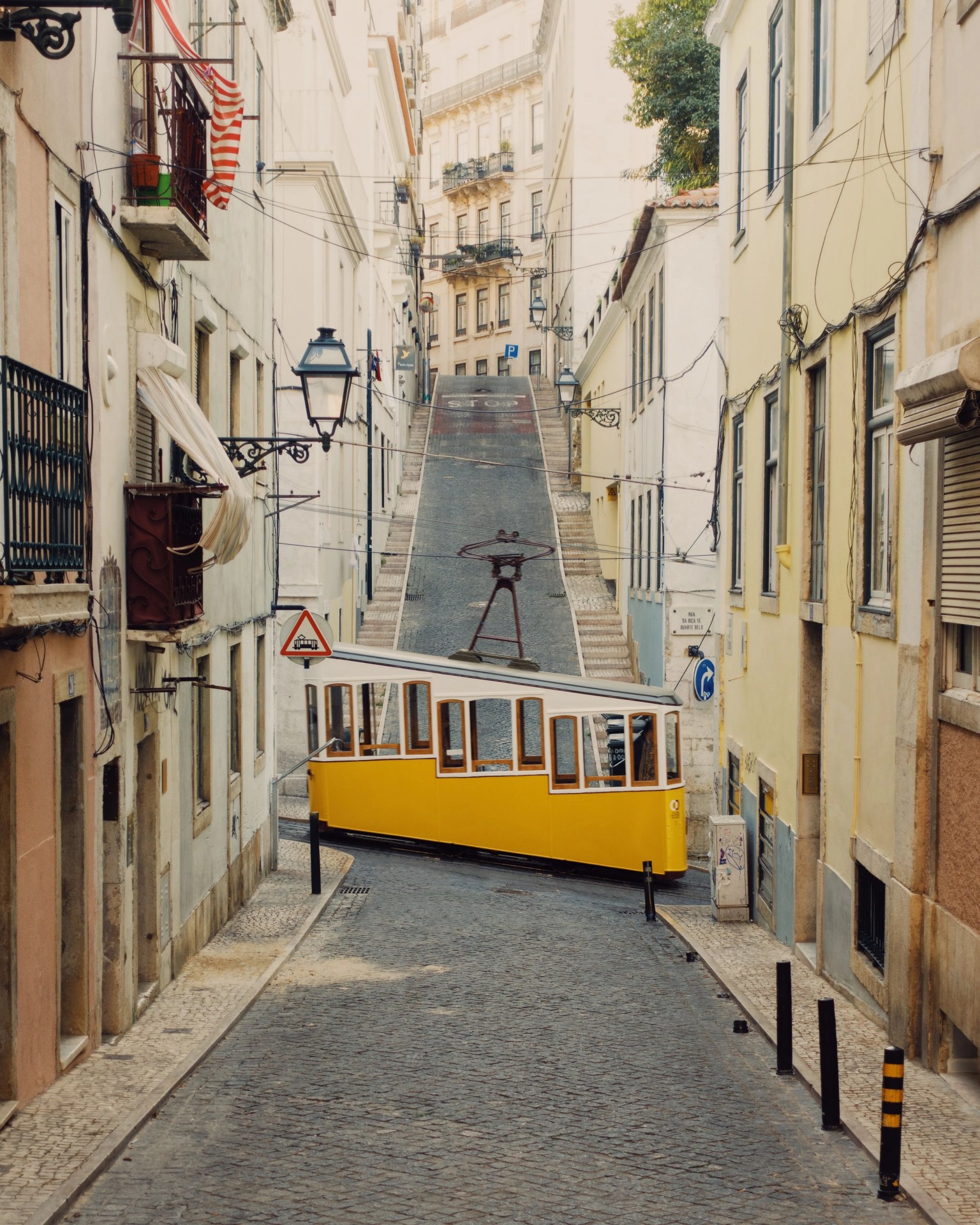 accidental wes anderson
