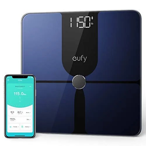 scale