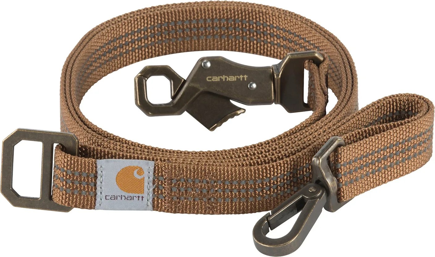 dog leash