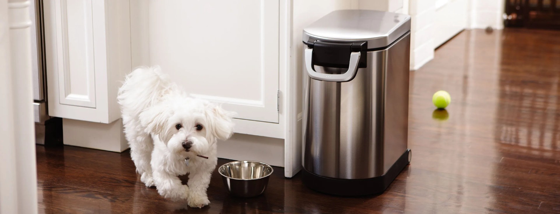 dog food container