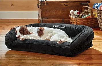 dog bed