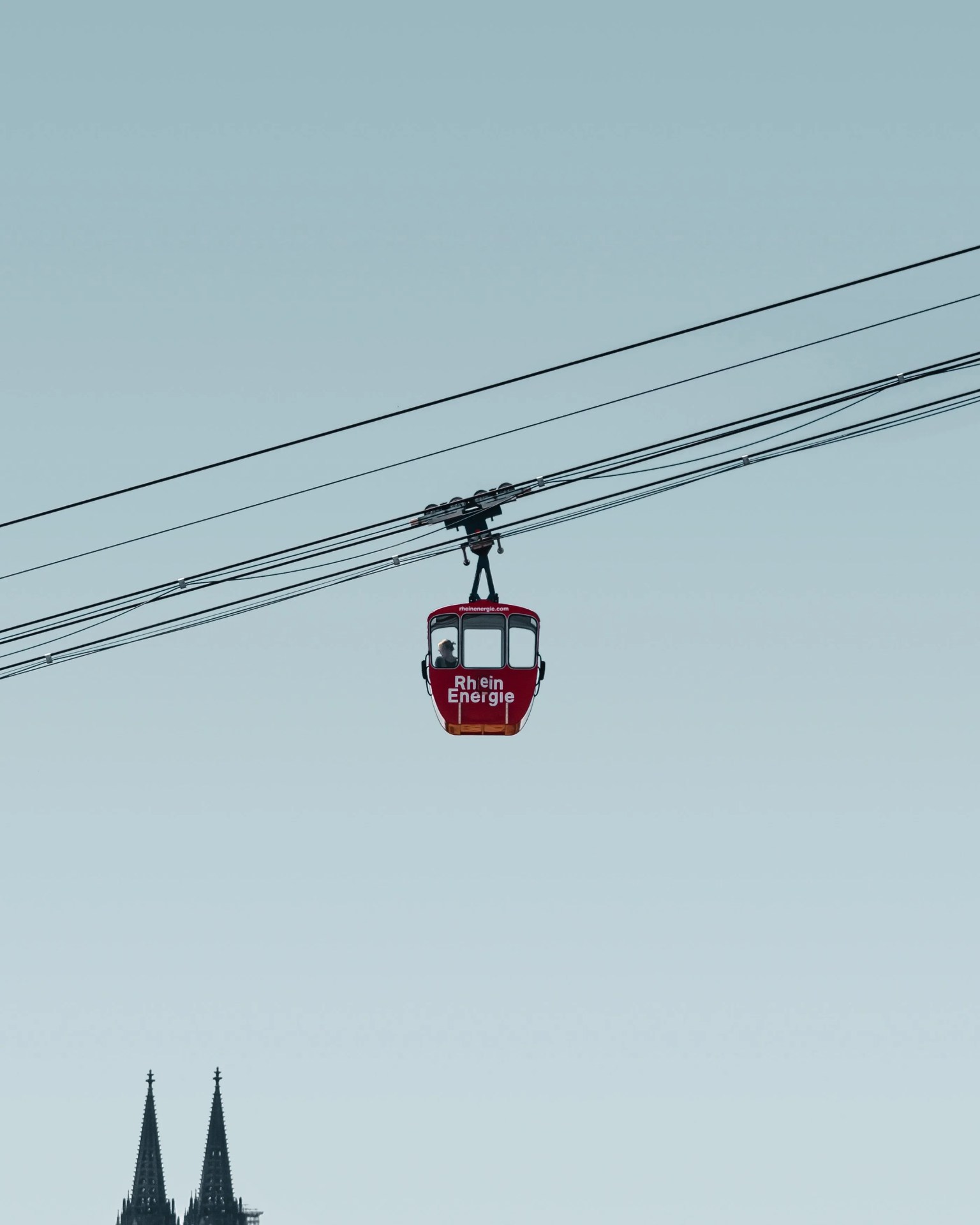accidental wes anderson