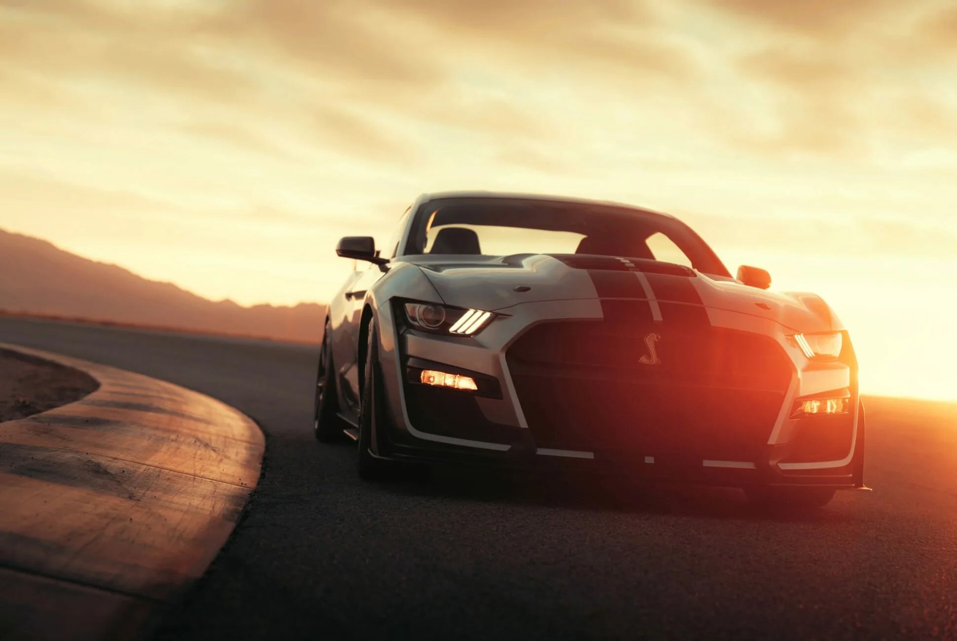 shelby gt500 koo gear patrol lead full