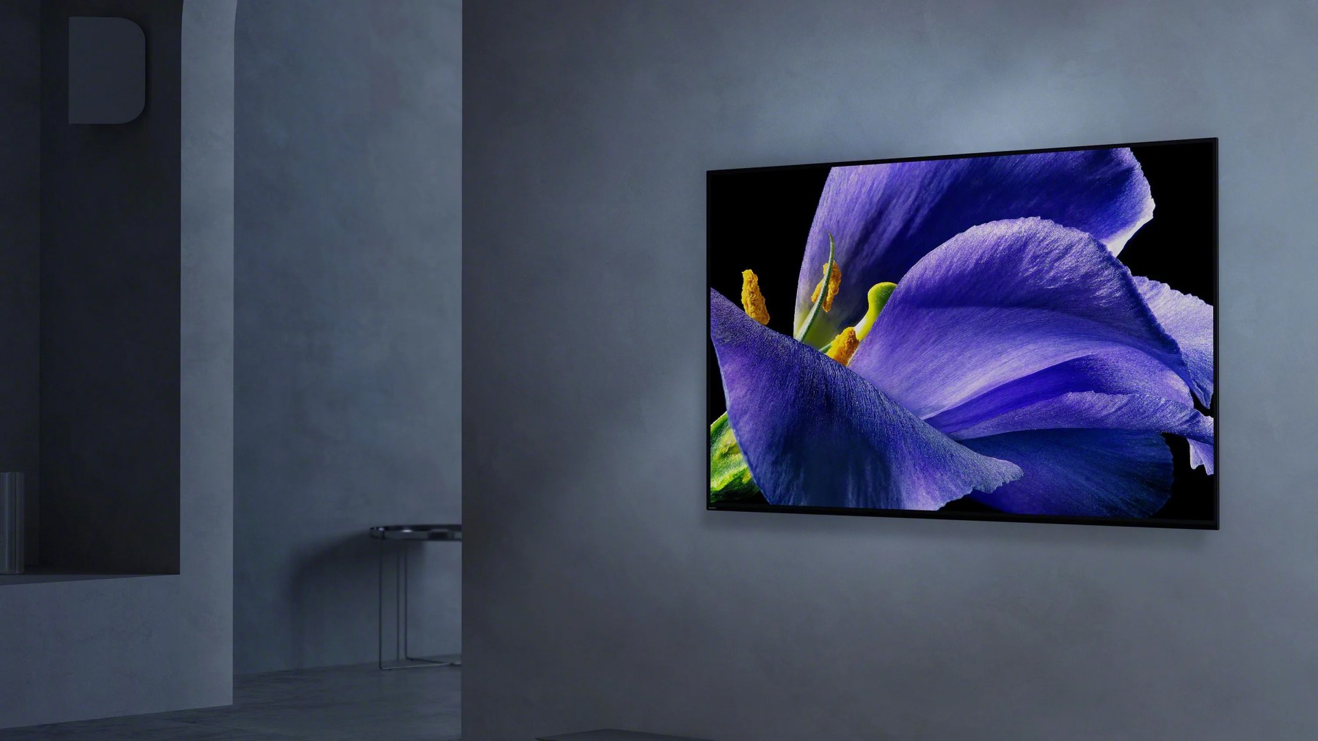 sony a9g