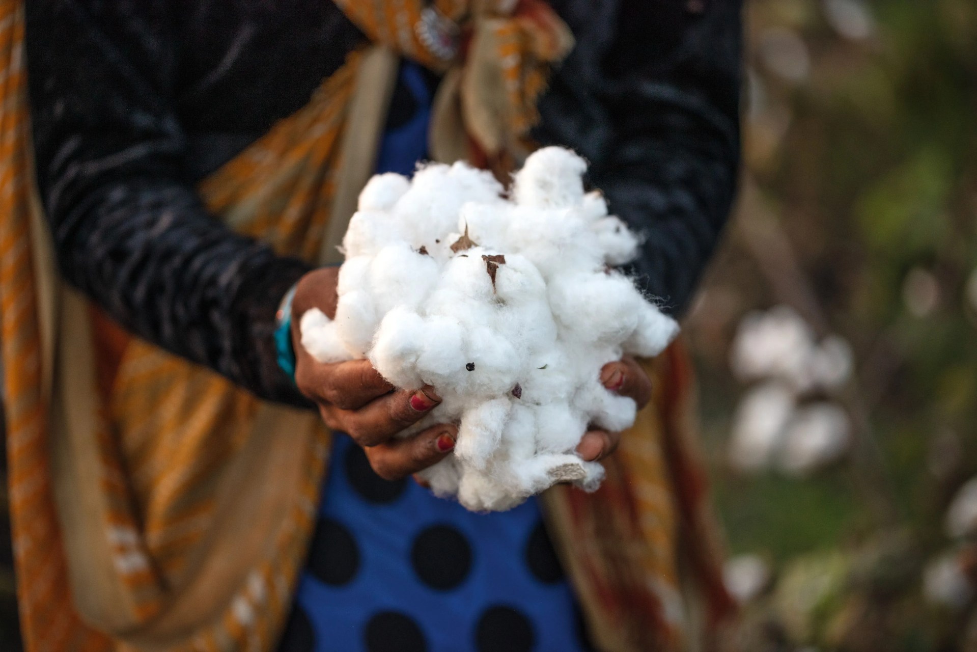 cotton