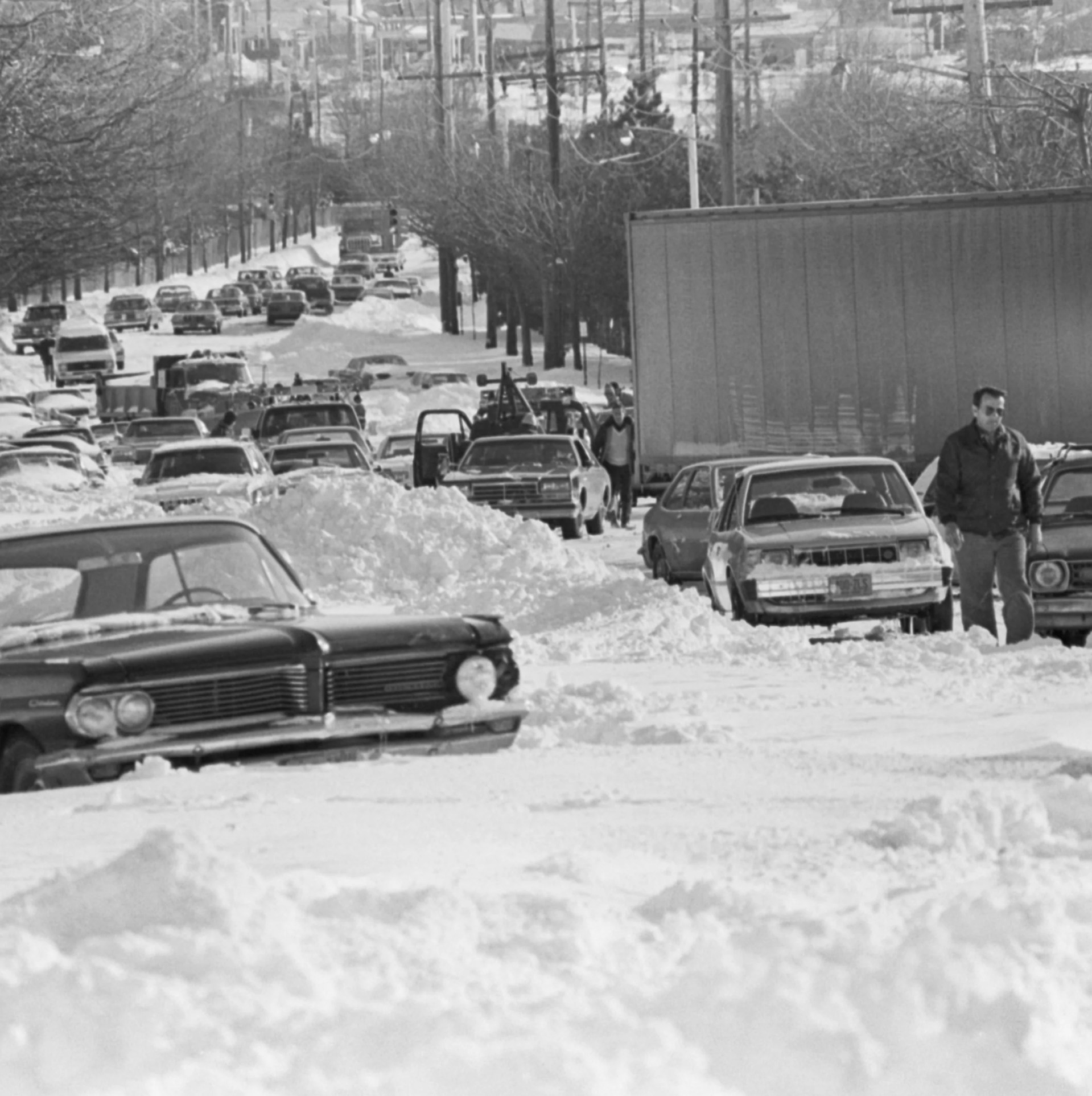 cars abandoned on snowy street