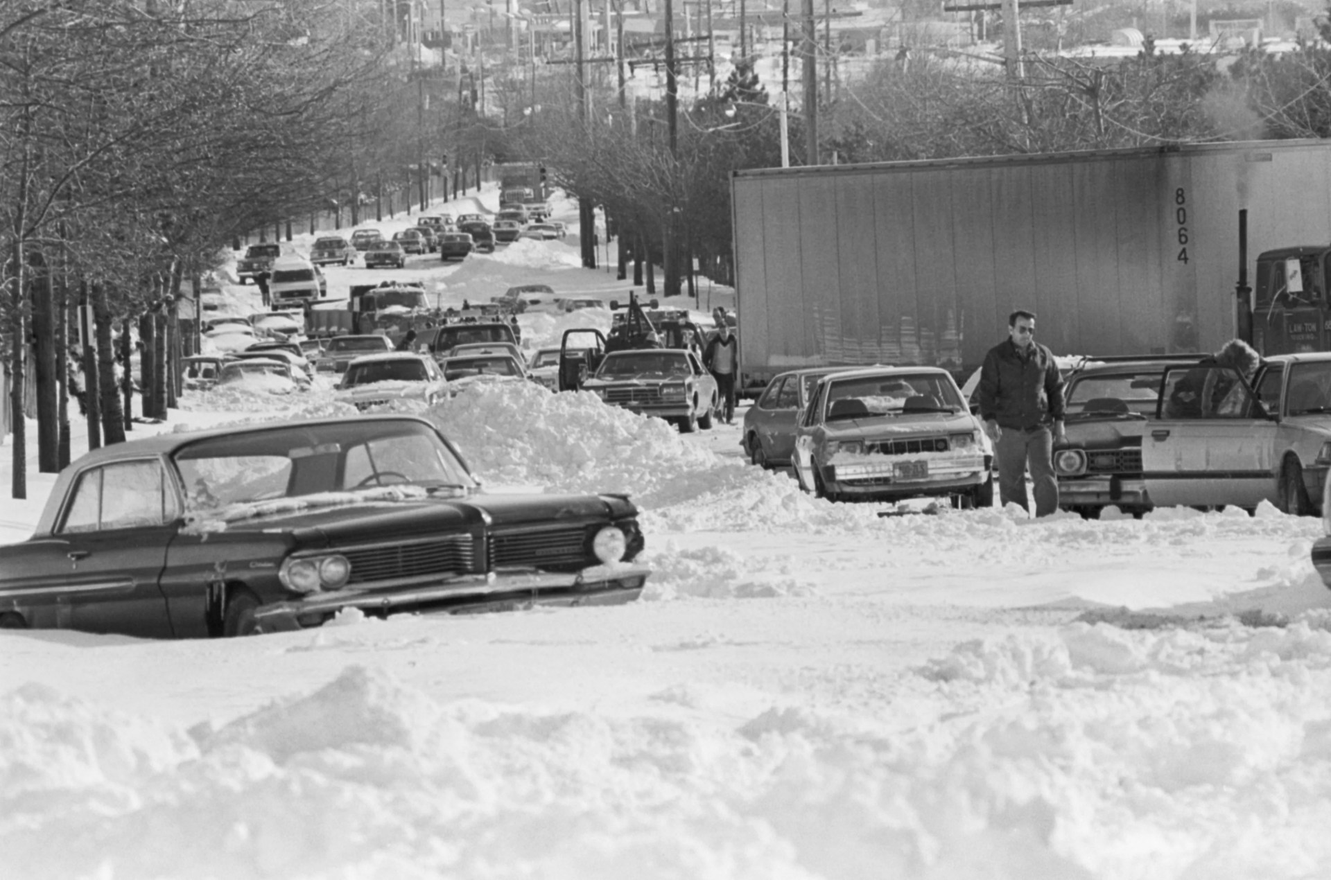 cars abandoned on snowy street