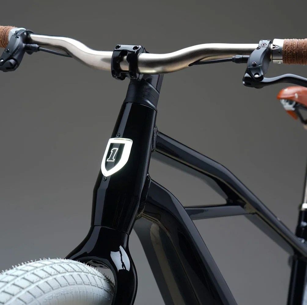 serial 1 harley davidson e bike