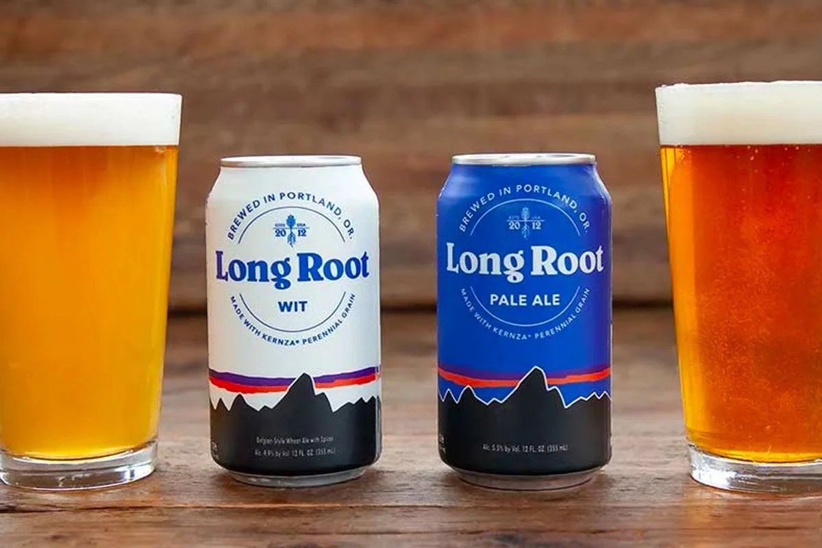 backcountry ski gear long root ale beer