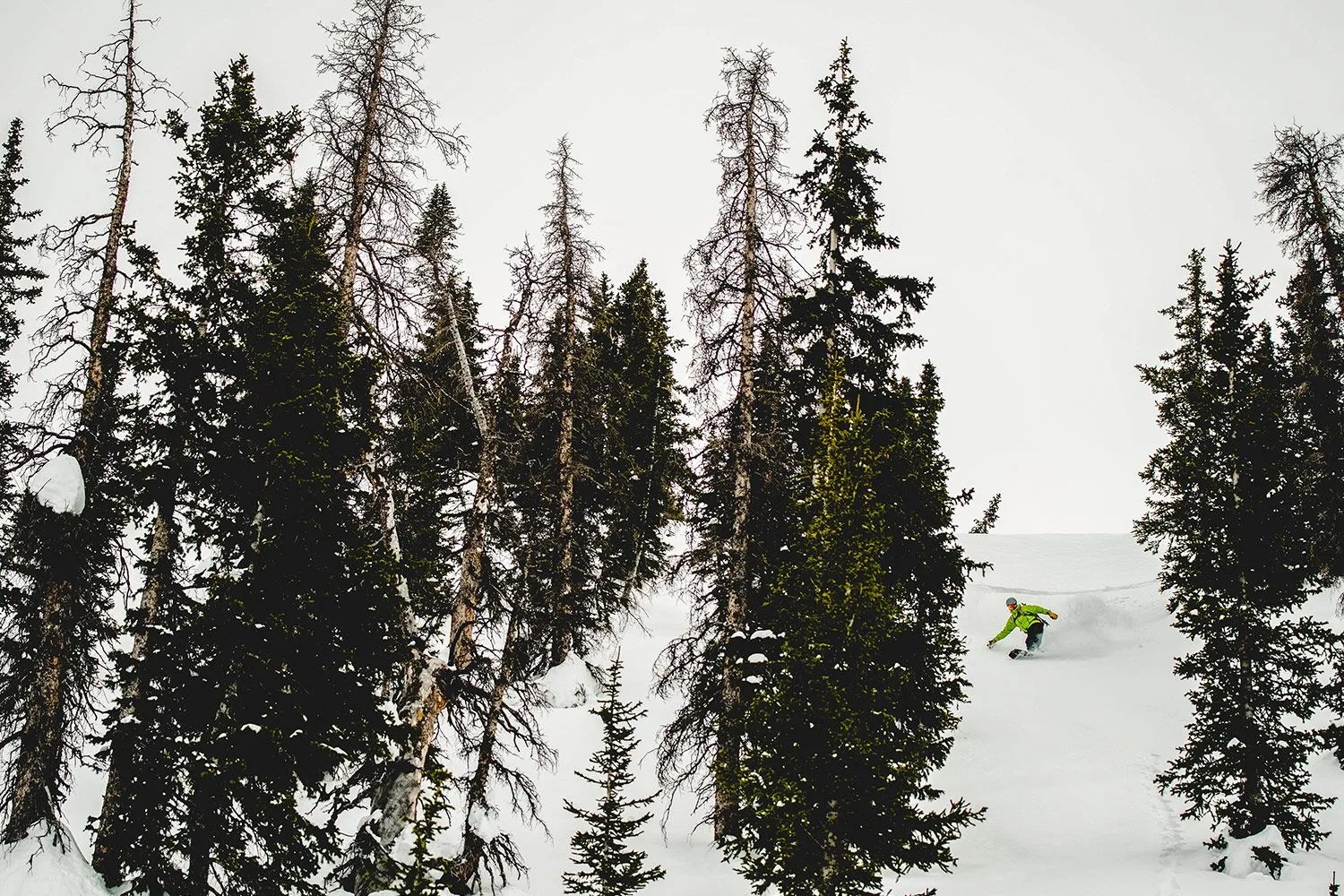 sponsored product note backcountry 10 12