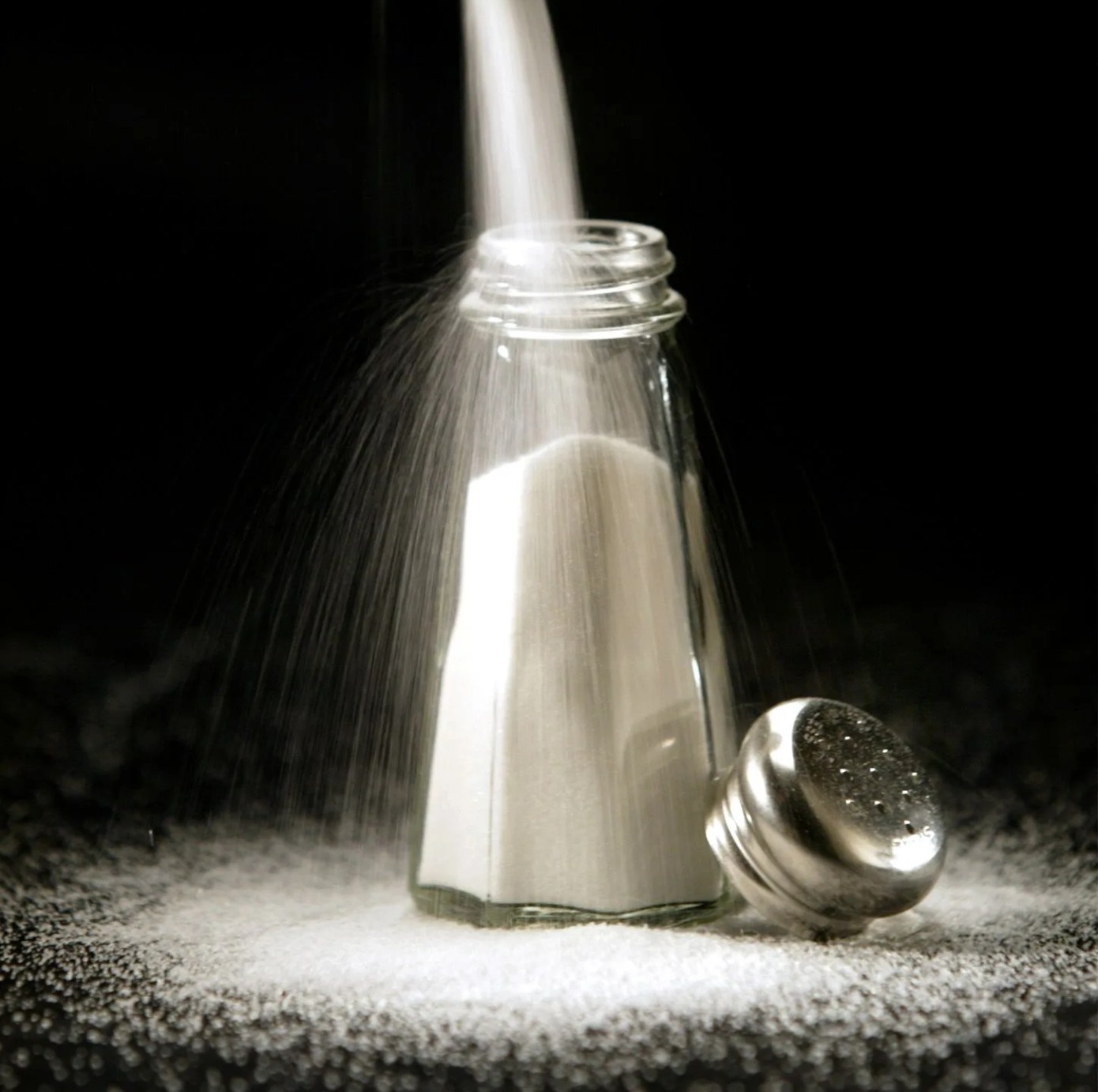 still life of a salt lick and another one of a salt shaker to illustrate a story in book review we