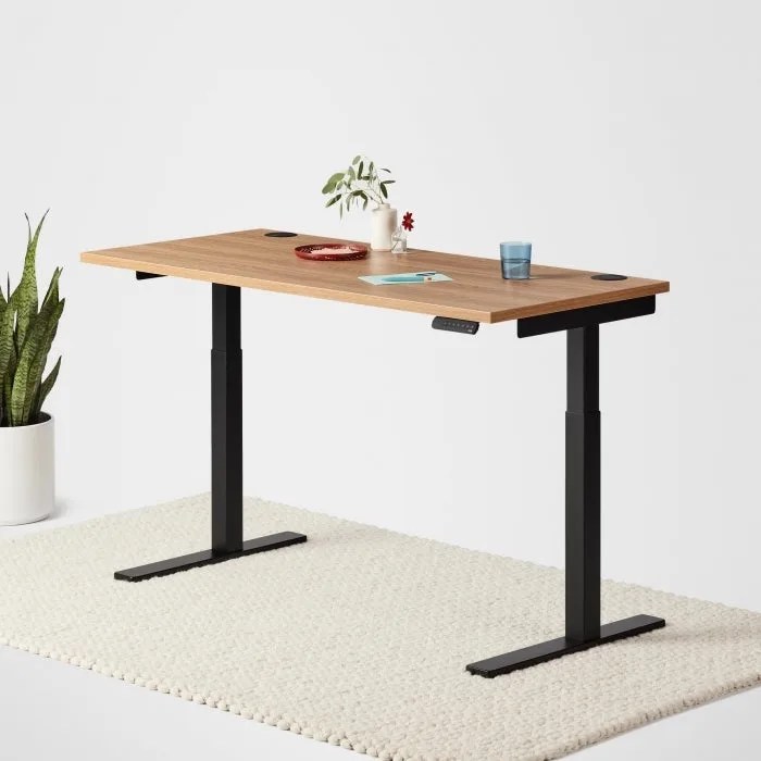 fully standing desk