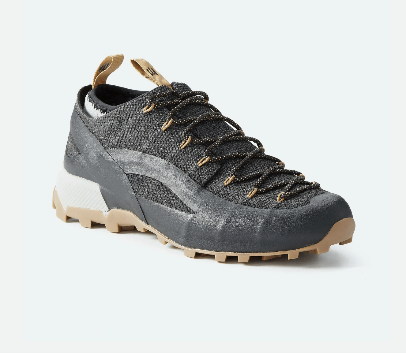 hiking shoe