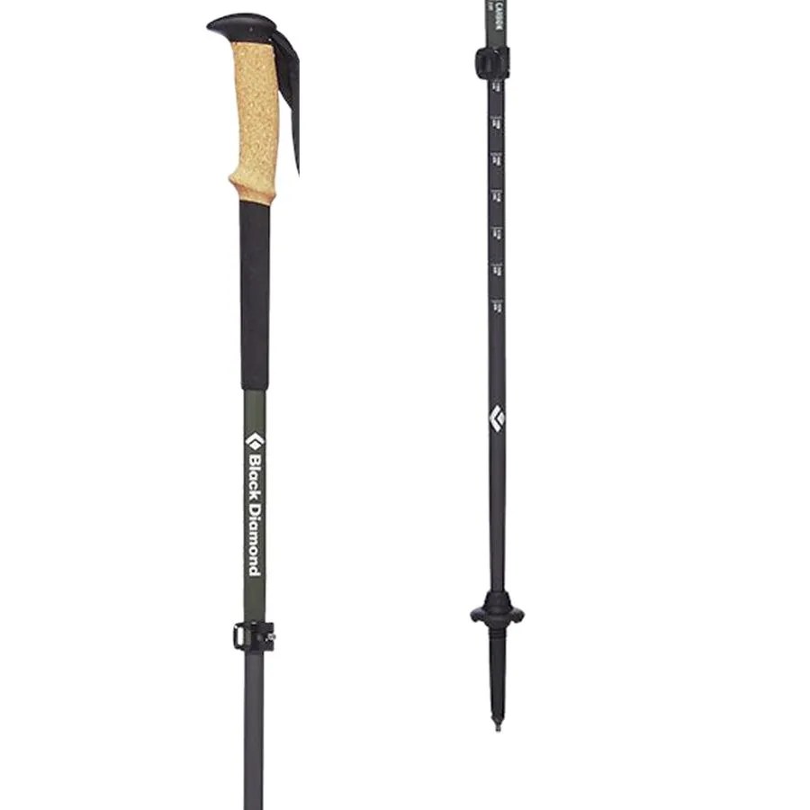 a pair of hiking poles