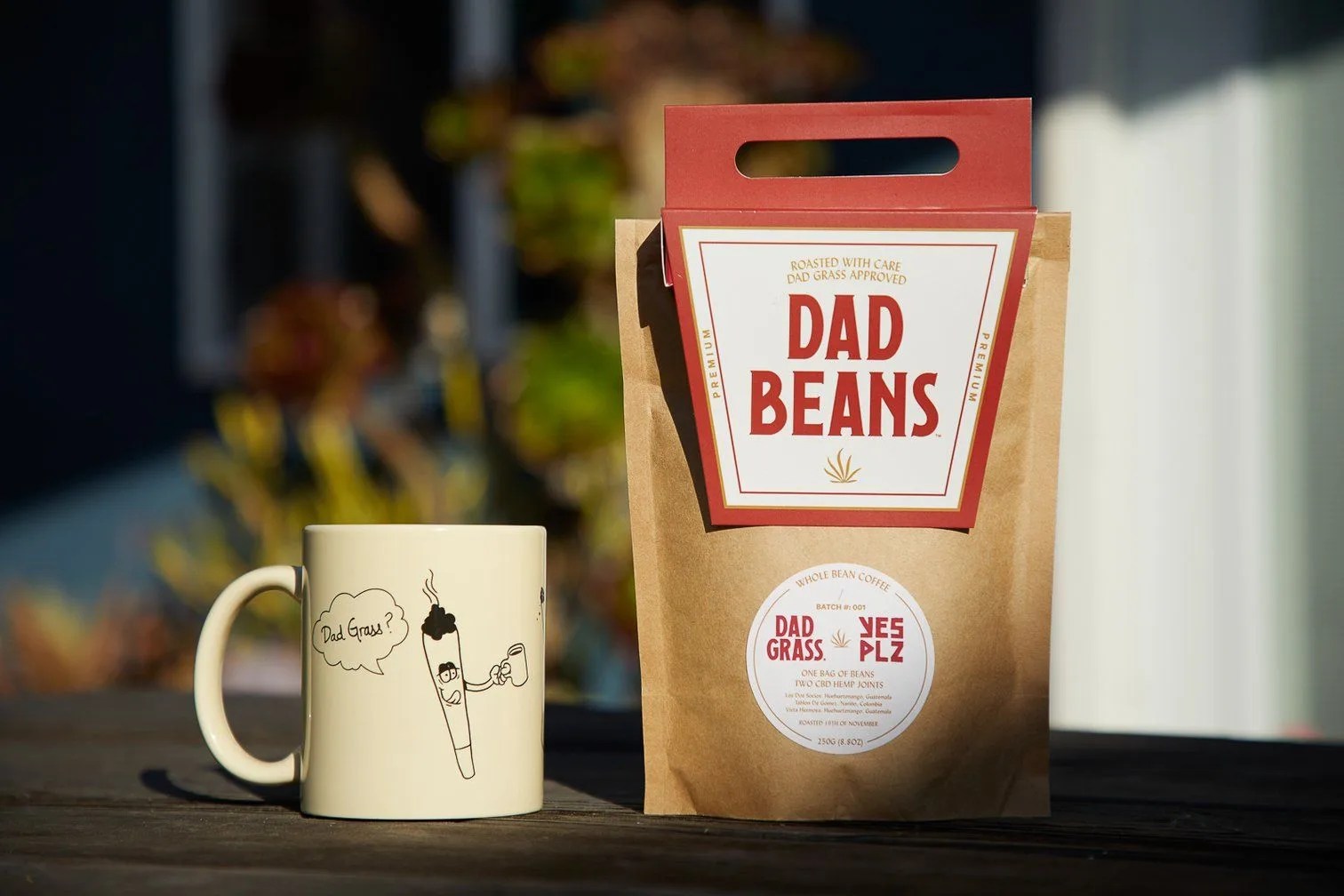dad grass