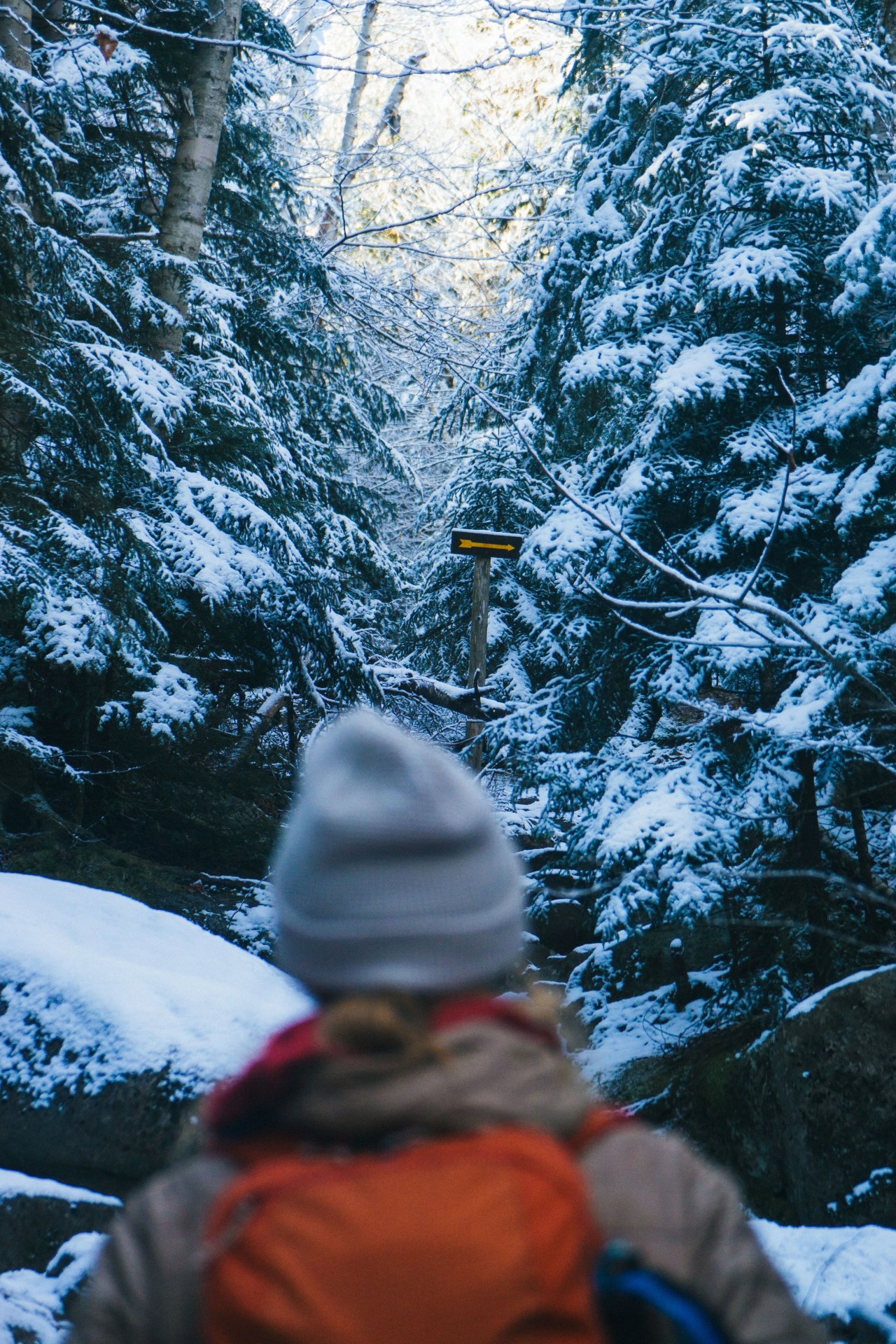 a snowy hiking trail