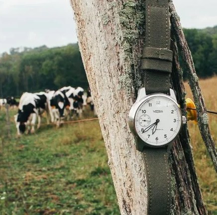 weiss field watch gear patrol ambiance