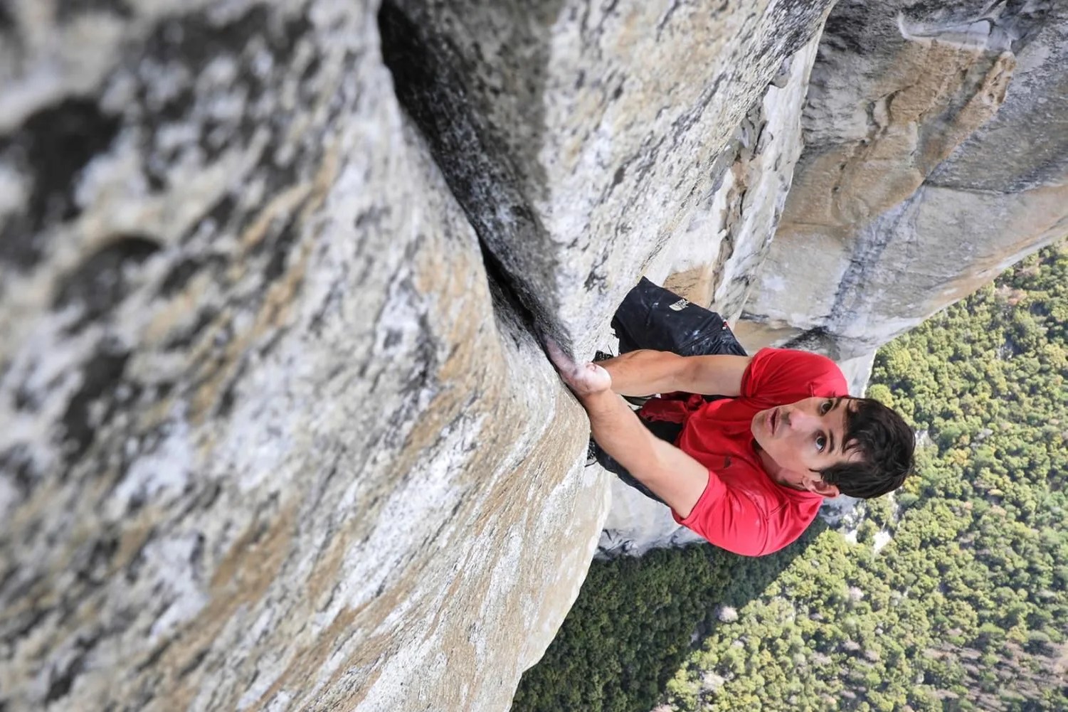 honnold yosemite