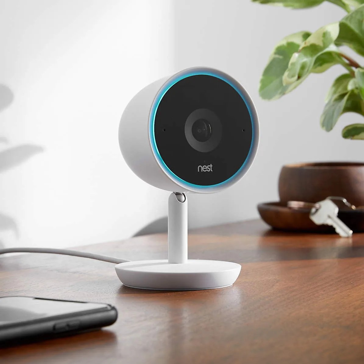 nest cam iq