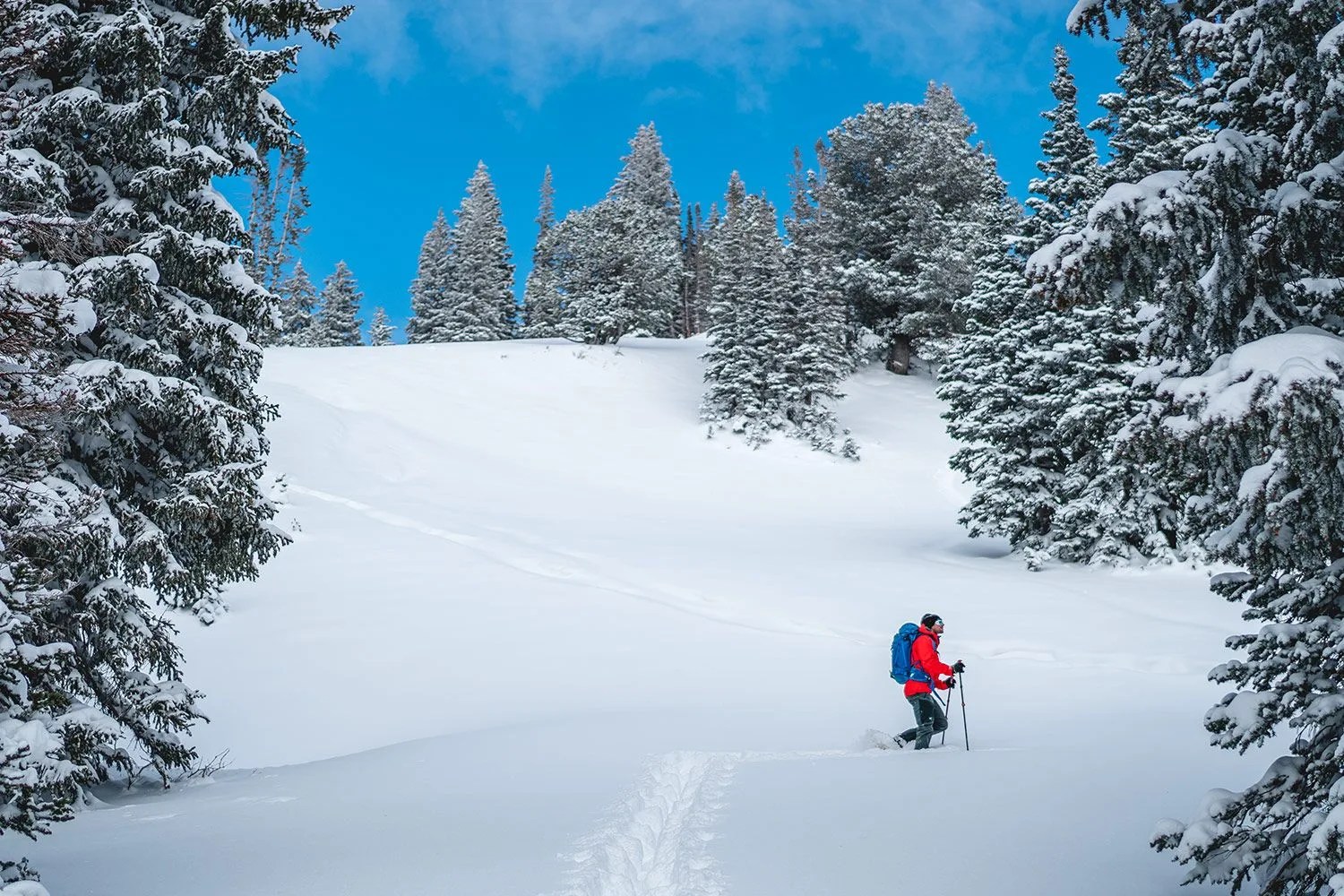backcountry sale