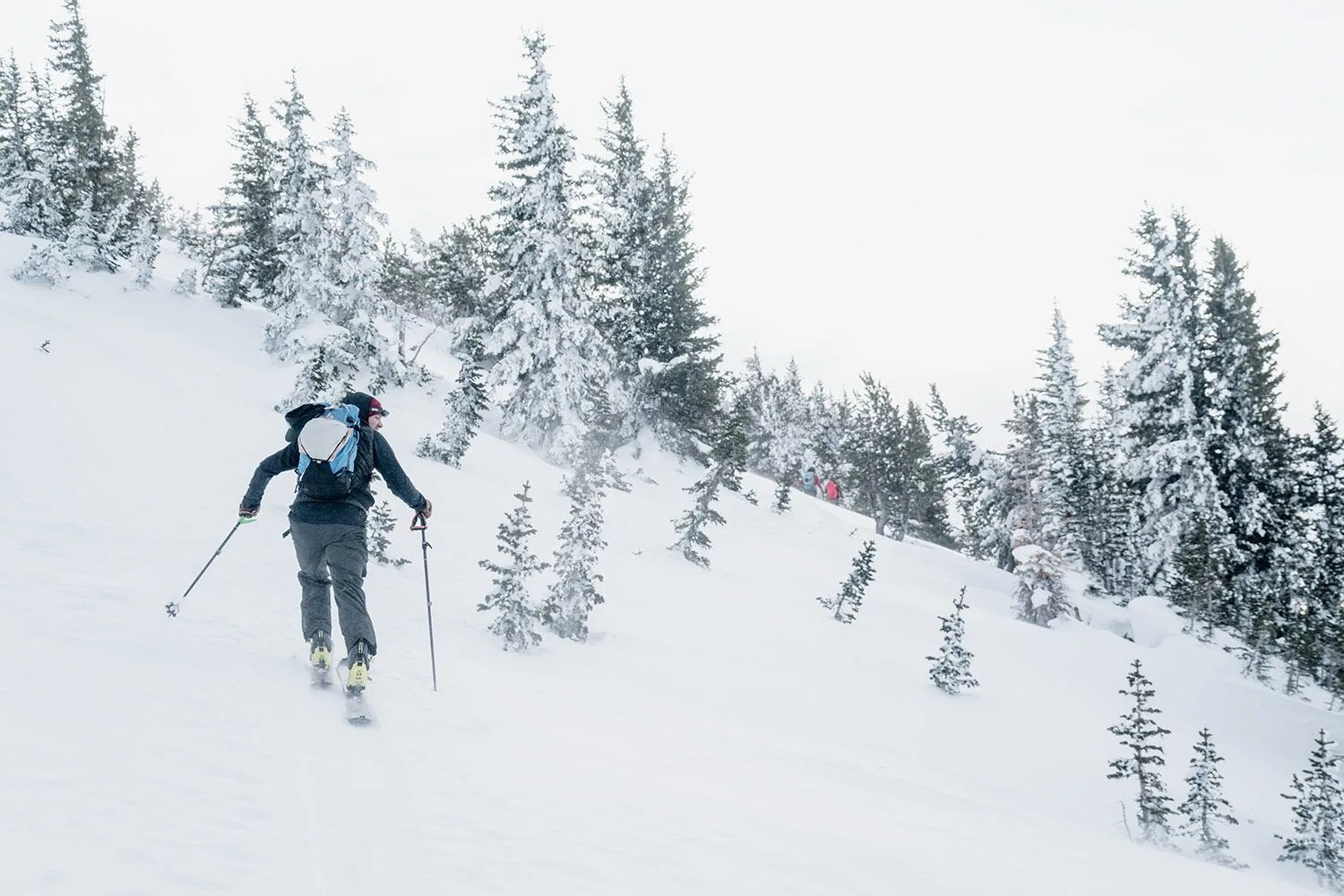 backcountry sale