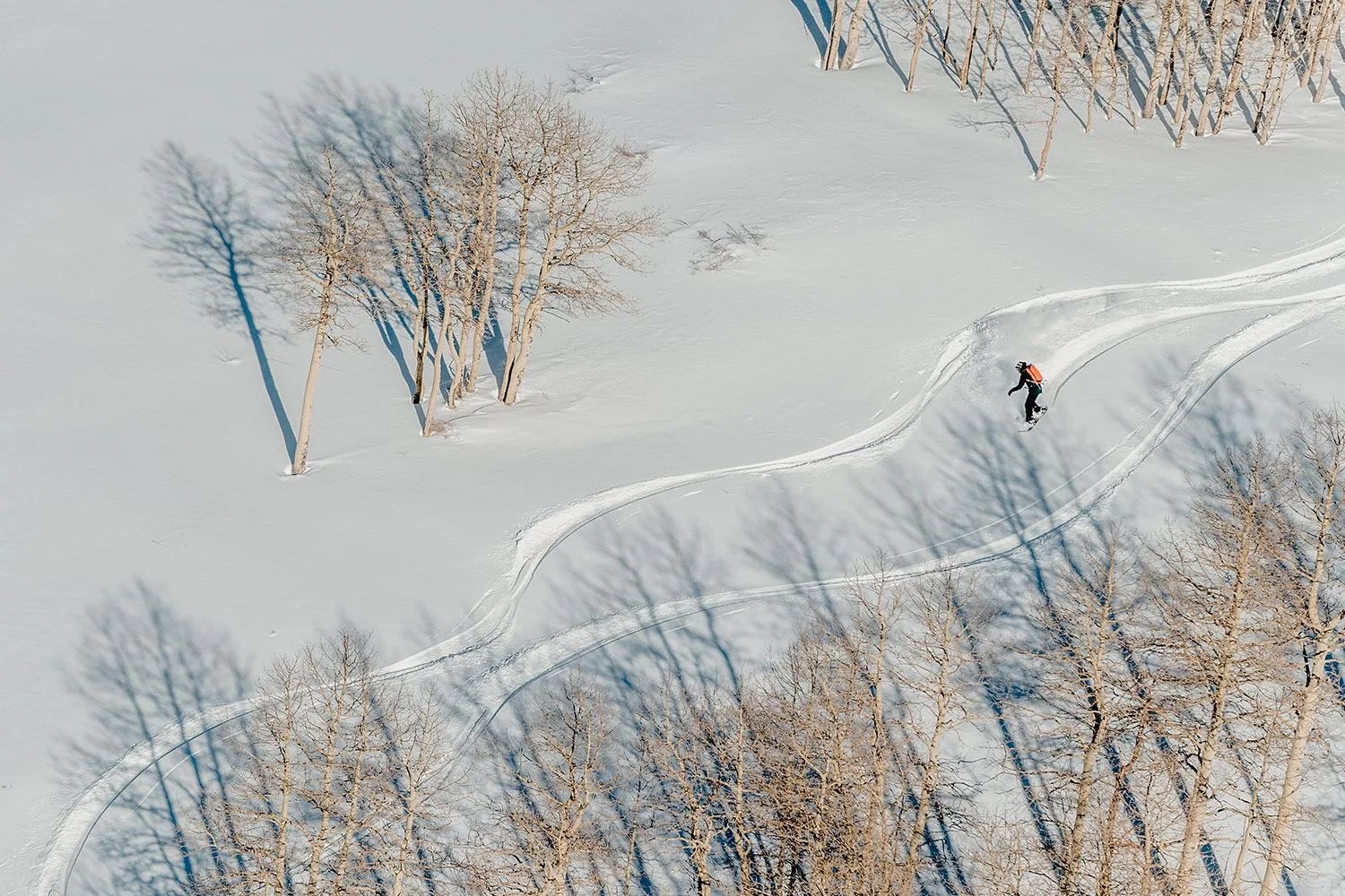 backcountry cyber sale