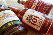 wild turkey